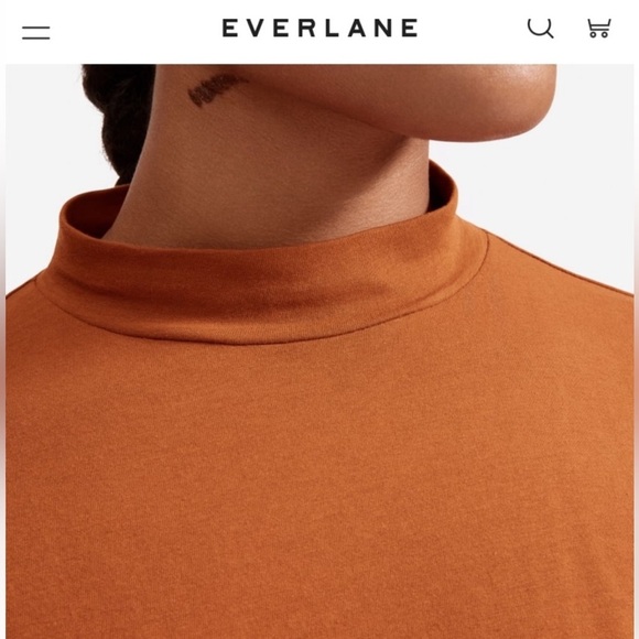 Everlane | Square Mock Neck Long Sleeve Tee | Cider | XS - Picture 2 of 12